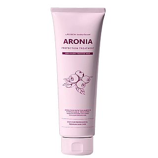 -004877     Institute-beaut Aronia Color Protection Treatment, 100 
